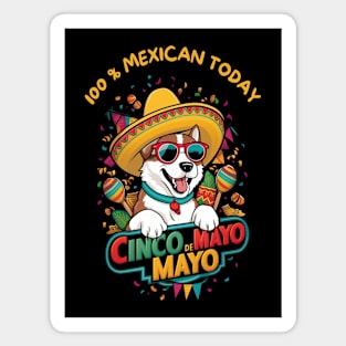 American Akita Dog Cinco de Mayo Magnet